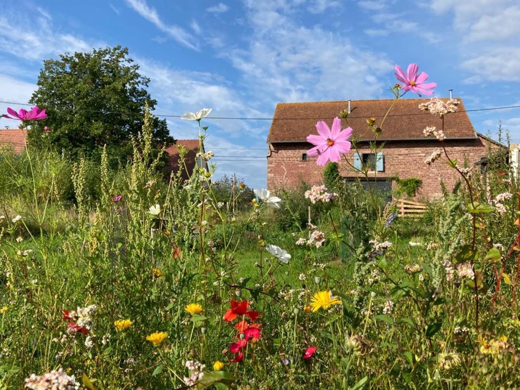 La Grange De Bois De Chene Apartment ฟาลส์บวร์ก ภายนอก รูปภาพ
